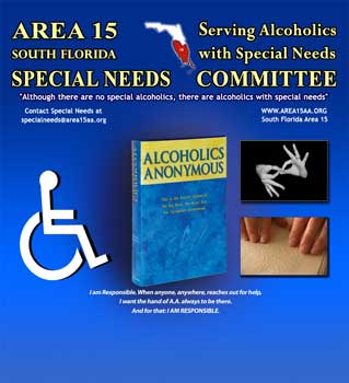 Area 15 Special Needs Display